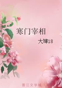 寒门宰相TXT八零